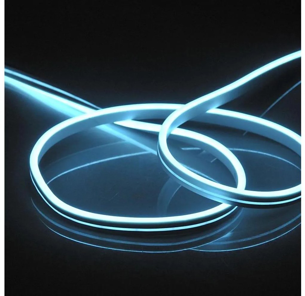Striscia LED NEON 5 m LED/27W/12V IP65 blu