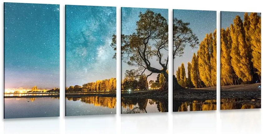 Quadri 5 pezzi – Albero sotto il cielo stellato