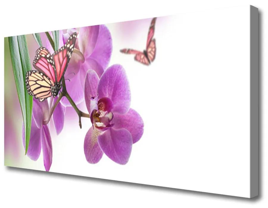 Quadro su tela Farfalle Fiori Natura 100x50 cm