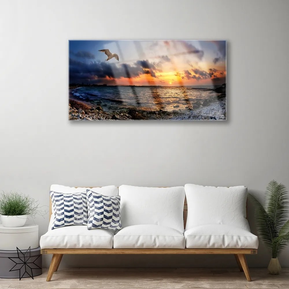 Quadro in vetro Gabbiano mare spiaggia paesaggio 100x50 cm 2 appendini