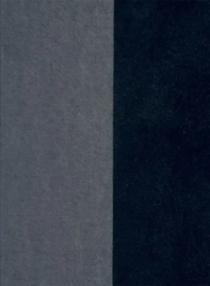 Arte Flamant Streifentapete Velvet & Lin - Black Tie