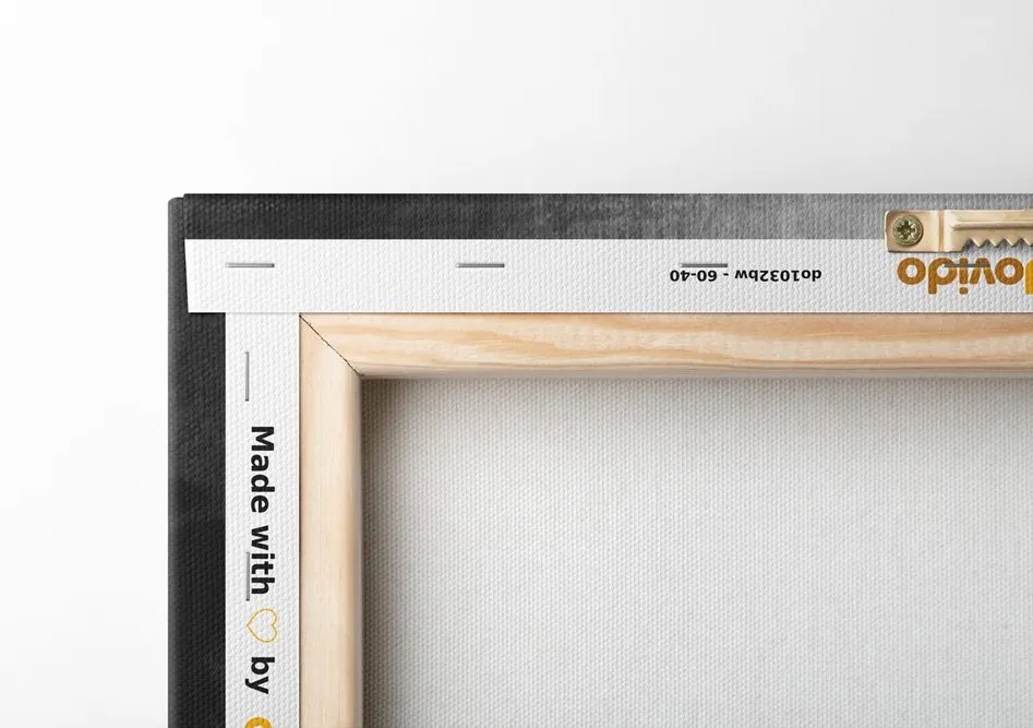 Stampa su tela – Fiori in stile etnico in bianco e nero