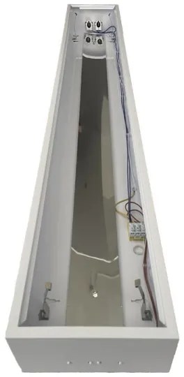 Lampada fluorescente T8 2xG13/18W/230V 120 cm bianco