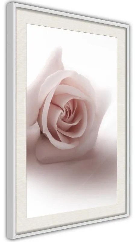 Poster  Subtle Flower  Cornice Quadri Cornice nera con pass-partout, Larghezza x Altezza Home decor 40x60