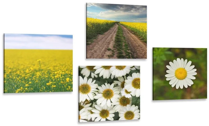 Set di quadri – Prato pieno di fiori