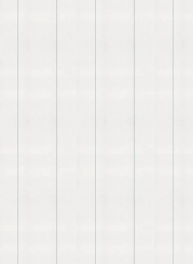 Coordonne Carta da parati Stripe 0.3 - Principe