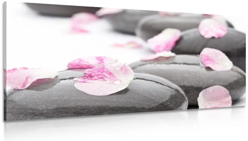 Quadro su tela – Pietre wellness con petali