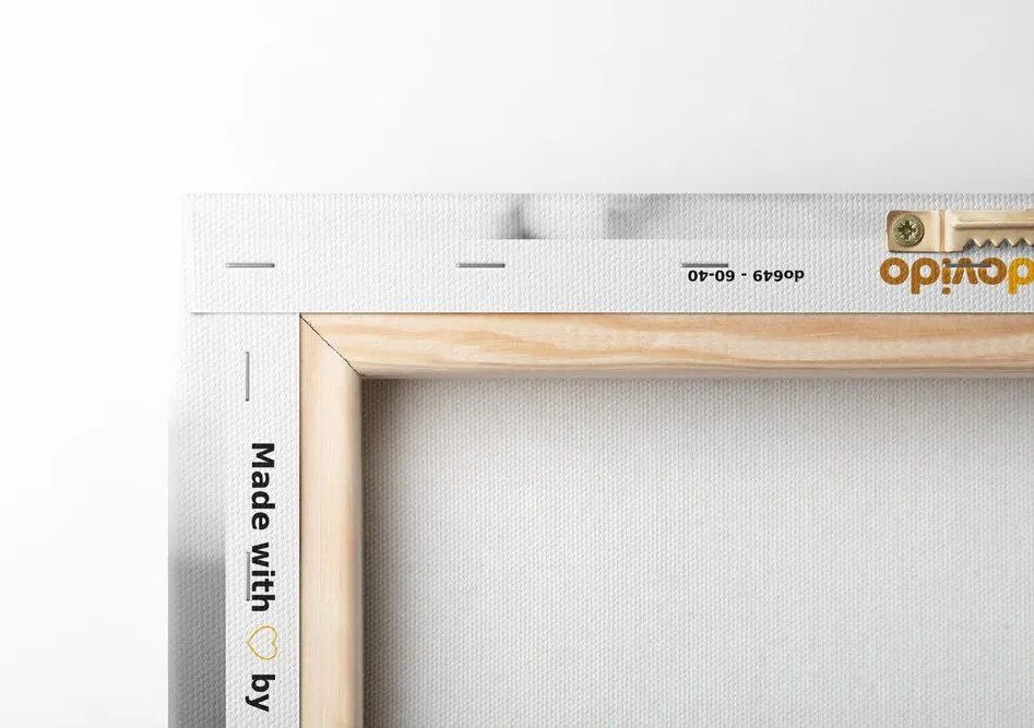 Quadro su tela – Angioletto