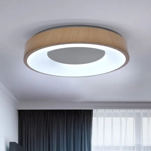 Brilagi - Lampada LED da soffitto dimmerabile DORIA LED/48W/230V 3000-6500K + DO