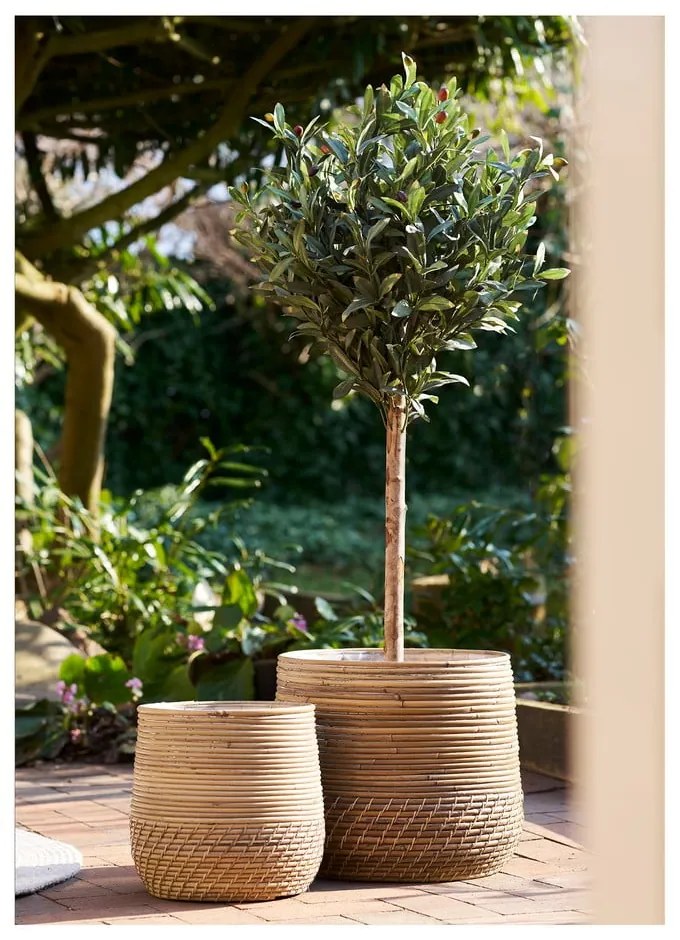 Set di cesti in rattan 2 pz ø 39x35 cm Moro – House Nordic