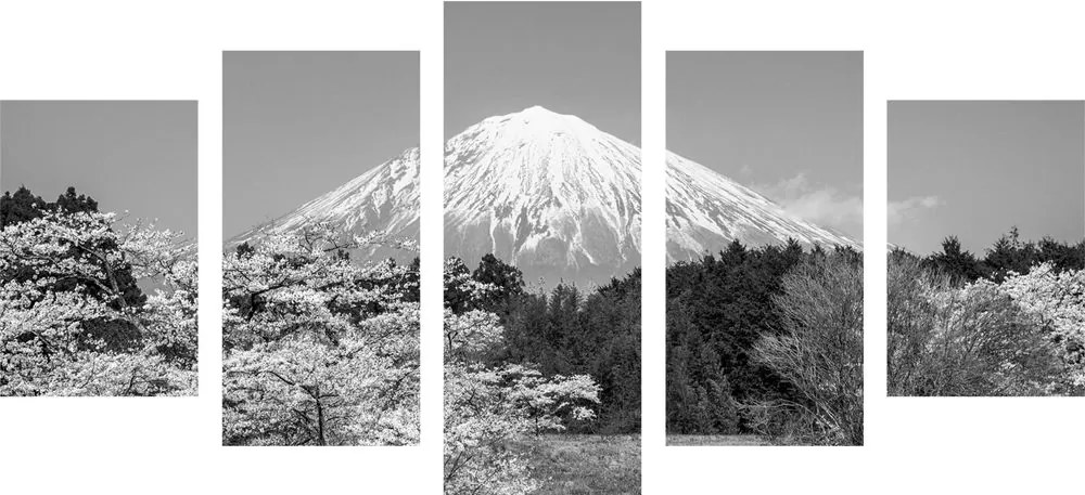 Quadri 5 pezzi – Monte Fuji in bianco e nero