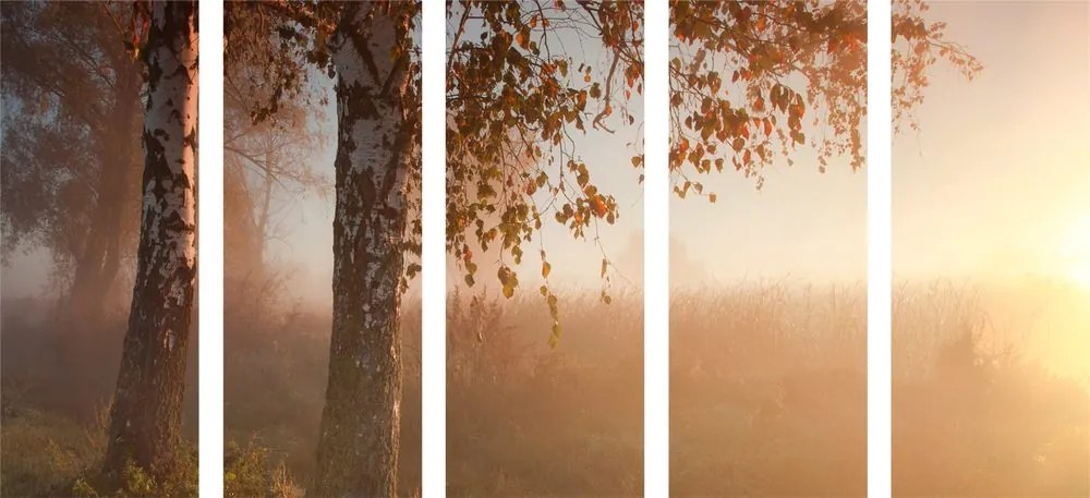 Quadri 5 pezzi – Foresta autunnale nebbiosa