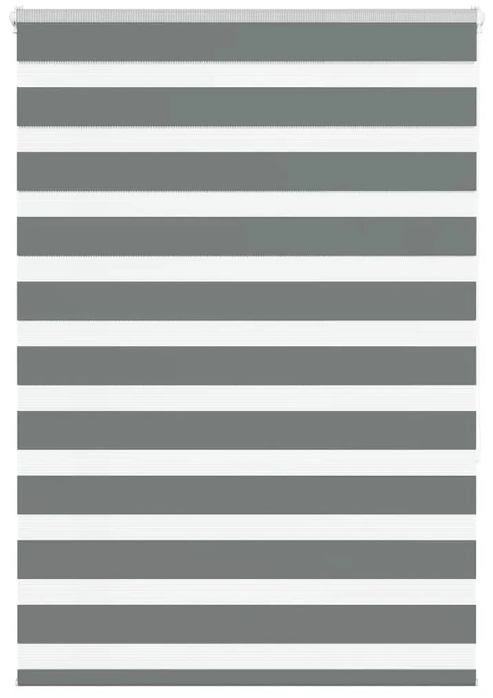 Tenda A Rullo Zebra Larghezza Tessuto 95,9 Cm Poliestere /