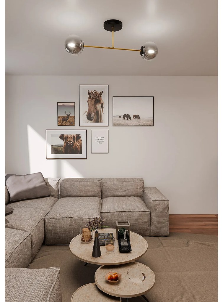 Plafoniera Moderna Magnium 2 Luci In Acciao Oro E Sfere In Vetro Fumè