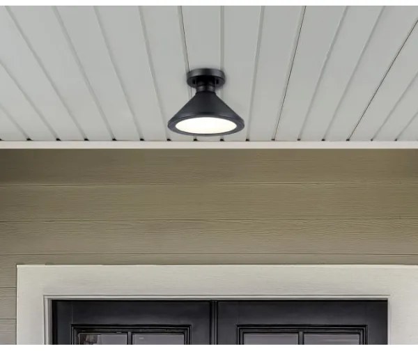 Westinghouse 61238 - Plafoniera da esterno WALTER 1xE27/60W/230V IP44