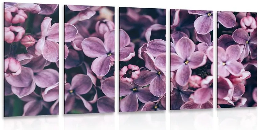 Quadri 5 pezzi – Fiori di lillà viola