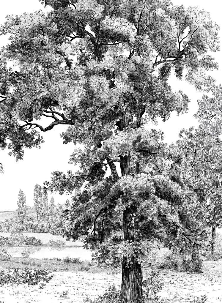 Isidore Leroy Carta da parati panoramica Domaniale - Panel B