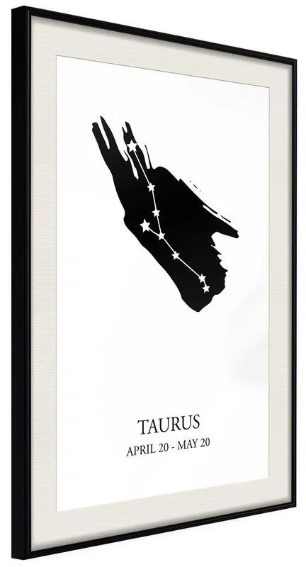 Poster  Zodiac: Taurus I  Cornice Quadri Cornice nera con pass-partout, Larghezza x Altezza Home decor 30x45