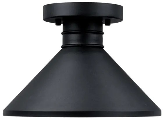 Westinghouse 61238 - Plafoniera da esterno WALTER 1xE27/60W/230V IP44