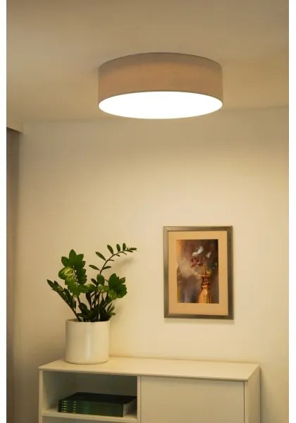 Duolla - Lampada LED da soffitto CORTINA LED/26W/230V Ø45 cm 4000K grigio
