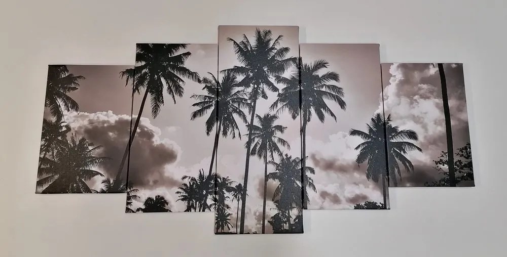 Quadri 5 pezzi – Palme da cocco sulla spiaggia in bianco e nero