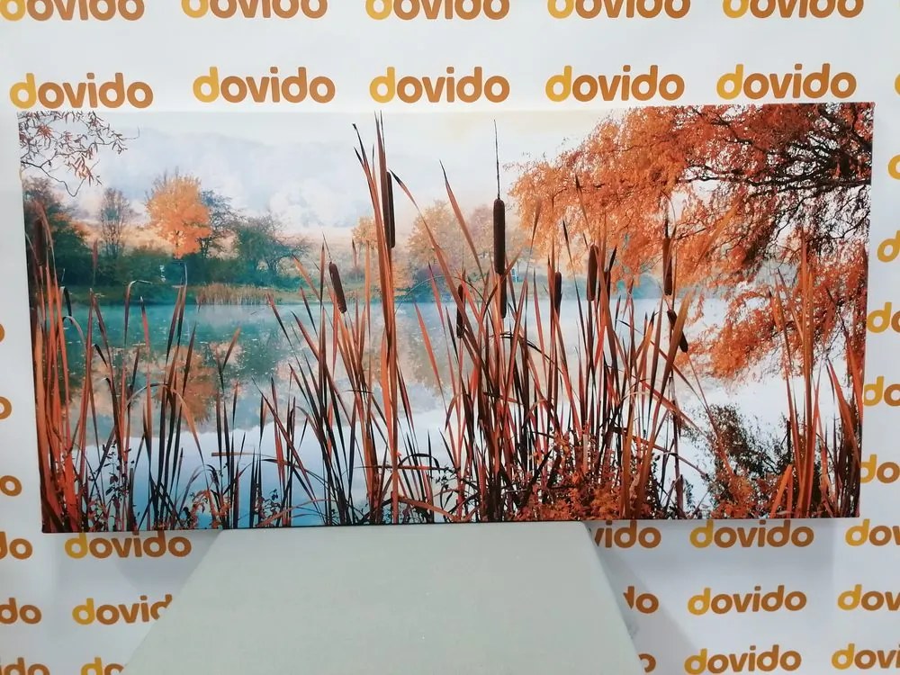 Quadro su tela – Fiume nel mezzo della natura autunnale