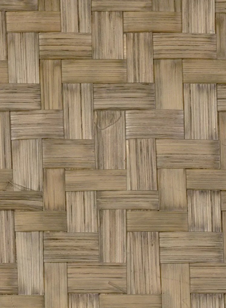 CMO Paris Carta da parati Bambou Twill - Fumé
