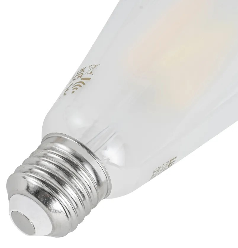 Lampadina LED dimmerabile E27 ST64 vetro satinato 7W 806LM 2700-6500K