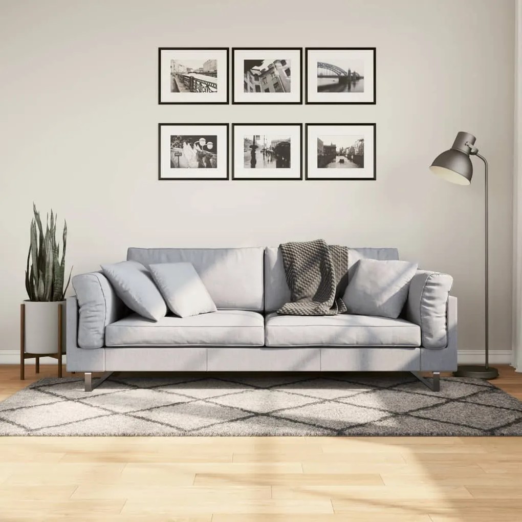 Tappeto Shaggy Pamplona Pelo Lungo Beige E Antracite 100x200cm /