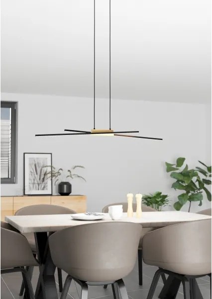 Eglo 900489 - Lampadario a sospensione con filo LED dimmerabile PANAGRIA 2xLED/13W/230V