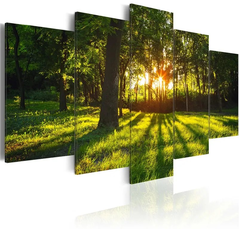 Quadro Riflessione silvestre  Colore Marrone, Dimensioni e Misure 200x100