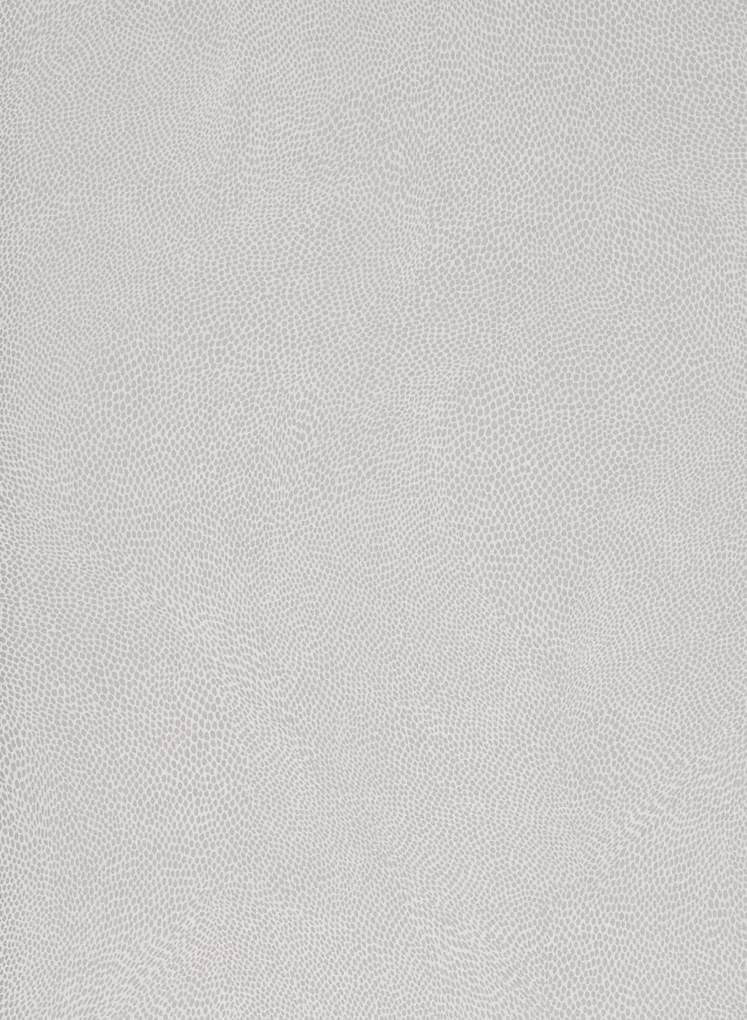 Osborne & Little Tapete Mashiko - Ivory/ Silver