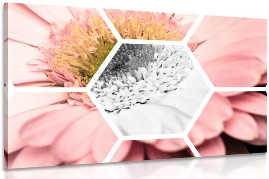 Quadro su tela – Gerbera in esagono
