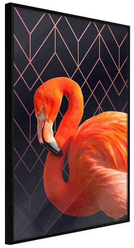 Poster  Orange Flamingo  Cornice Quadri Cornice nera, Larghezza x Altezza Home decor 20x30