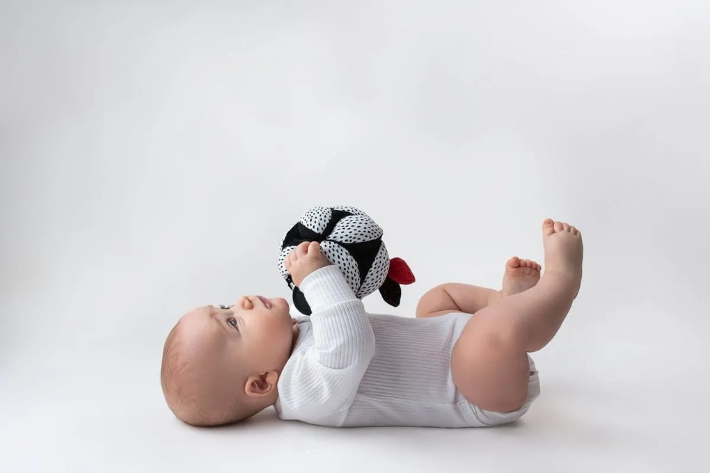 Mom's Care - Pallina Montessori con specchietto