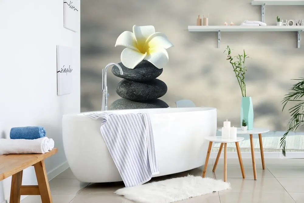 Carta da parati – Pietre armoniche e plumeria