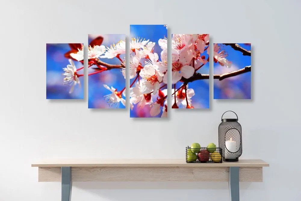 Quadri 5 pezzi – Fiore di ciliegio