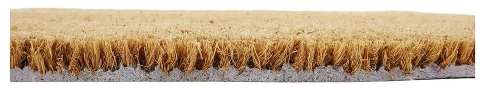 Stuoia di cocco naturale, 40 x 60 cm Not You Again - Artsy Doormats