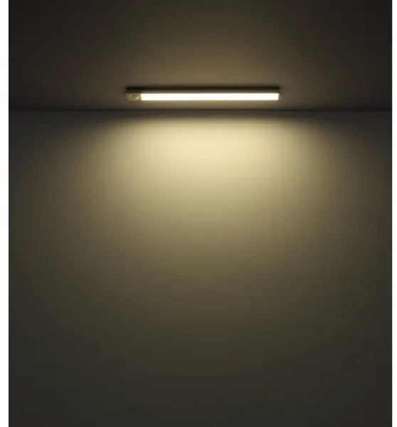 Globo 42409 - LED dimmer ricaricabile TRISTAN 2,5W/5V 1100mAh 40 cm