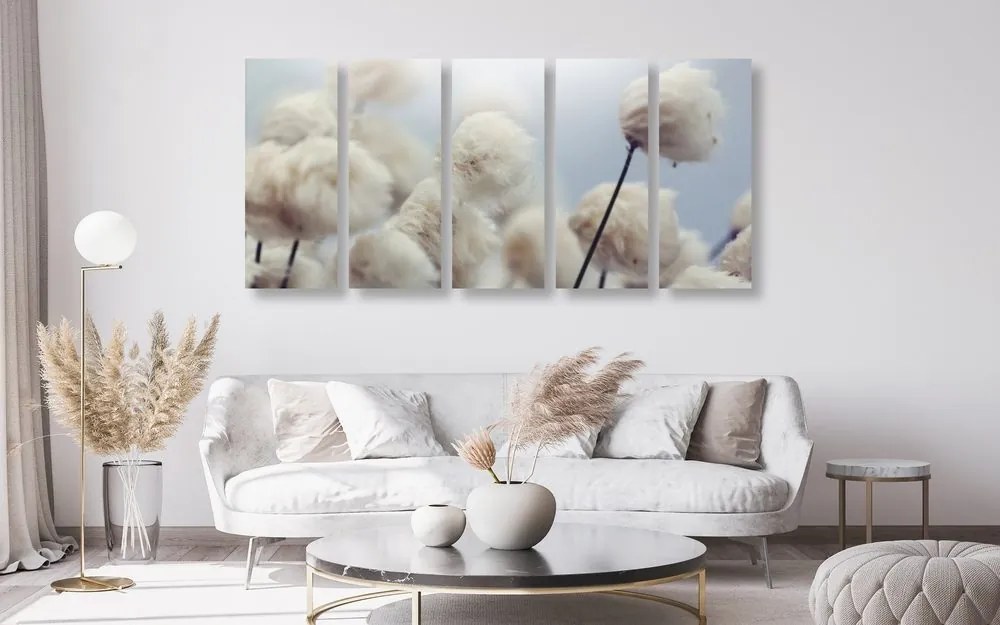 Quadri 5 pezzi – Fiori di cotone artico