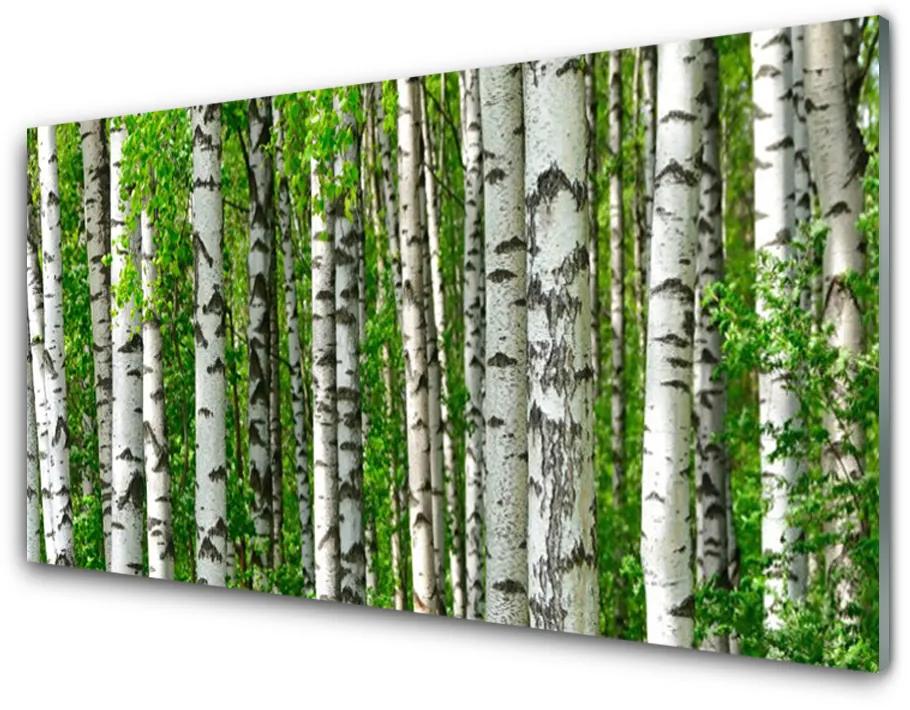 Quadro su vetro Foresta Pianta Natura Alberi 100x50 cm