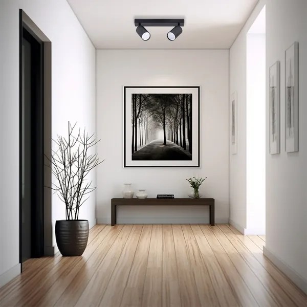 Faretto 2xGU10/35W/230V nero