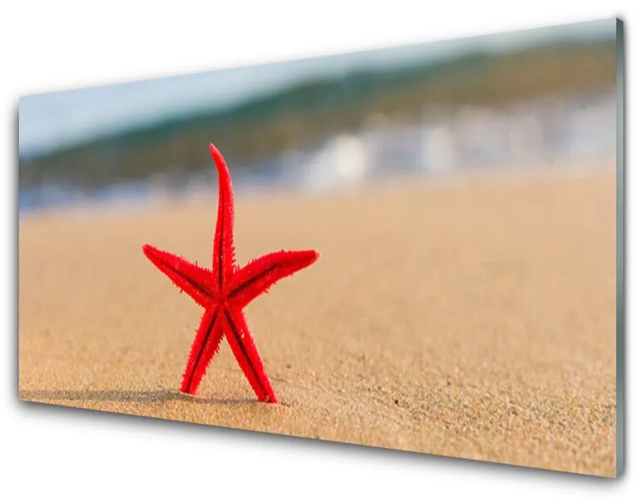 Quadro in vetro Arte della stella marina in spiaggia 100x50 cm