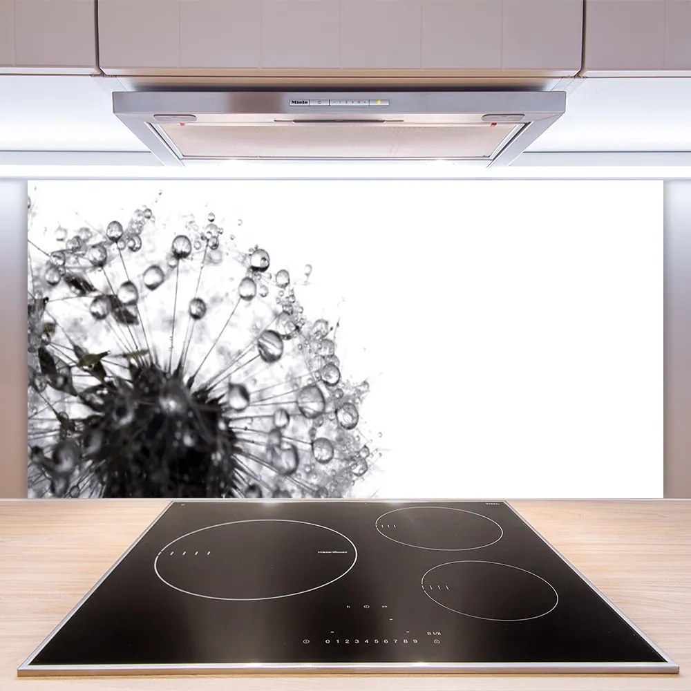 Pannello cucina paraschizzi Pianta di tarassaco 120x60 cm