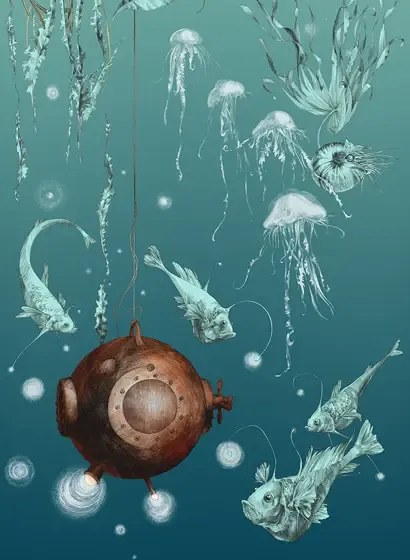 Edmond Petit Carta da parati Nautilus/ Méduses/ Nénuphars - Turquoise - Nautilus gauche - Turquoise