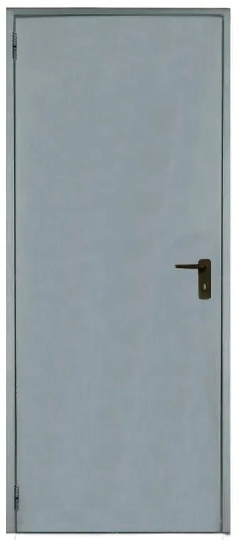 Porta per cantina a battente Tam in acciaio zincato colore grigio, L 90 x H 205 cm, apertura reversibile