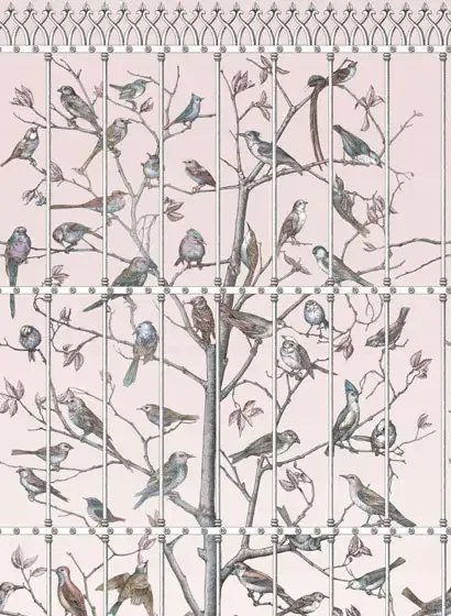 Fornasetti Tapete Uccelli von Cole and Son - Ballet Slipper