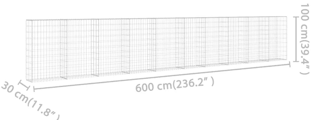 Gabbione con Copertura in Acciaio Zincato 600x30x100 cm