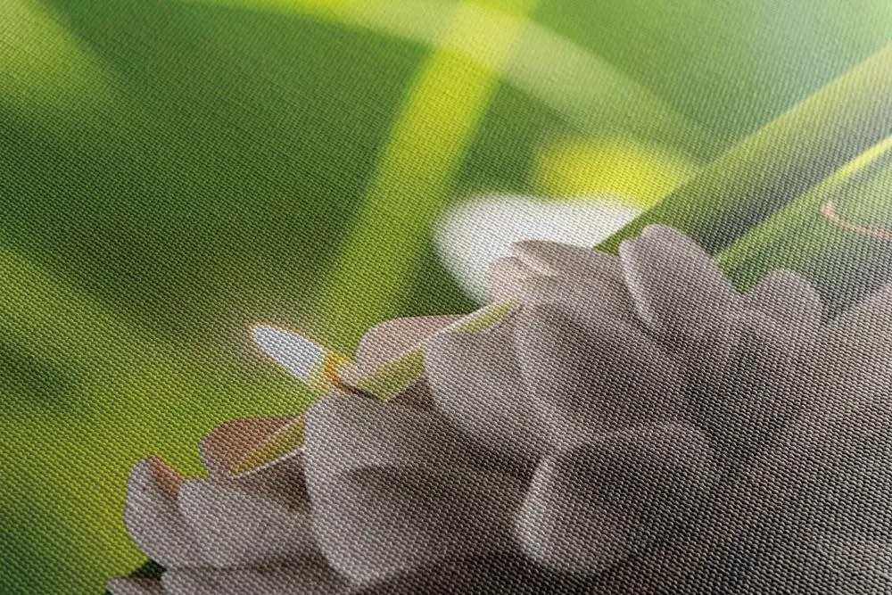 Quadro su tela – Buddha armonioso