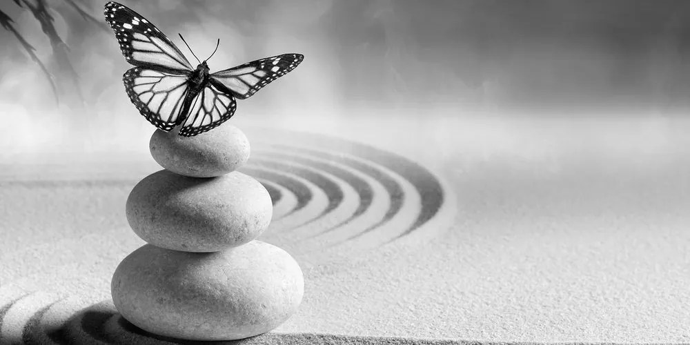 Stampa su tela – Equilibrio di pietre e farfalla in bianco e nero